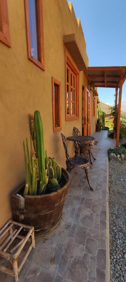 Casa Jardin De Hadas Con Vista Panoramica Pisco Elqui Eksteriør billede