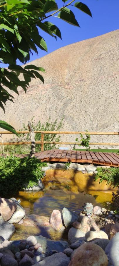 Casa Jardin De Hadas Con Vista Panoramica Pisco Elqui Eksteriør billede